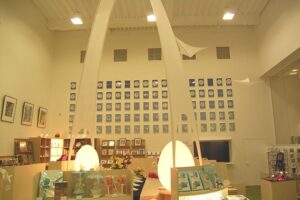 青森県立美術館　ミュージアムショップ
